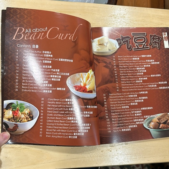 Chinese Cookbook: Hanky-Panky With Beancurd, Bilingual Edition - Picture 3 of 11